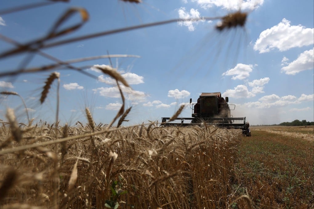 China could widen its trade relationship with Argentina to ensure its supply of staple crops like wheat. Photo: AFP