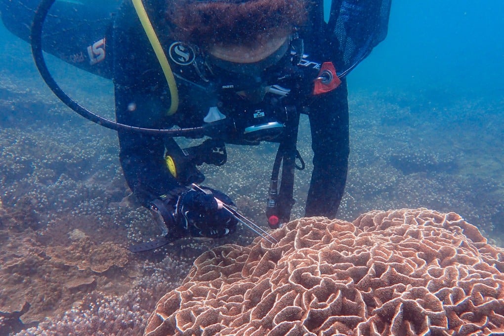 David Baker, of SWIMS in Hong Kong, says partnerships with mainland Chinese institutions are important to further marine research. Photo: Handout