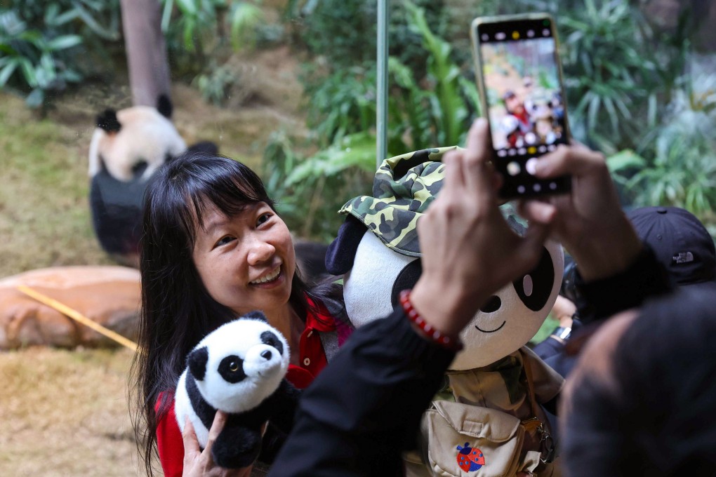 Fans brought along plushies and other panda memorabilia to celebrate the big day. Photo: Edmond So