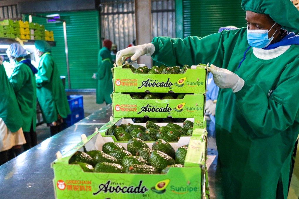 Aside from duty-free arrangements, China has also expanded “green lanes” for African agricultural products to help improve market access for companies. Photo: Xinhua