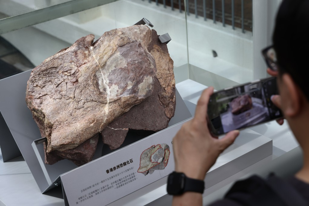 Port Island was earlier closed off to allow experts to excavate more dinosaur fossils. Photo: Dickson Lee