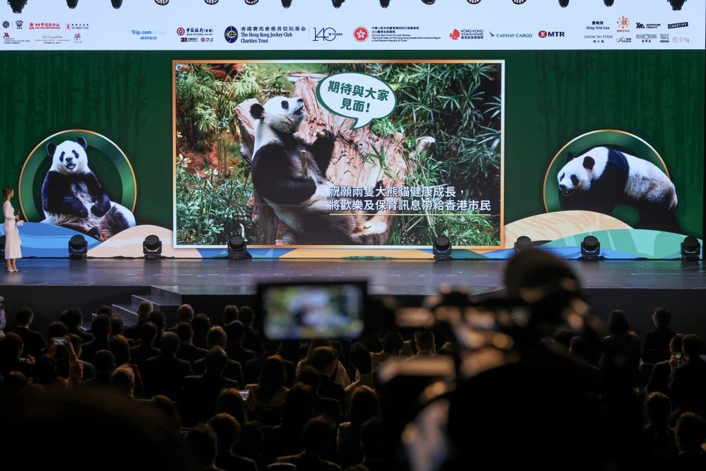 Giant Panda Greeting Ceremony at Ocean Park. Photo: Nora Tam
