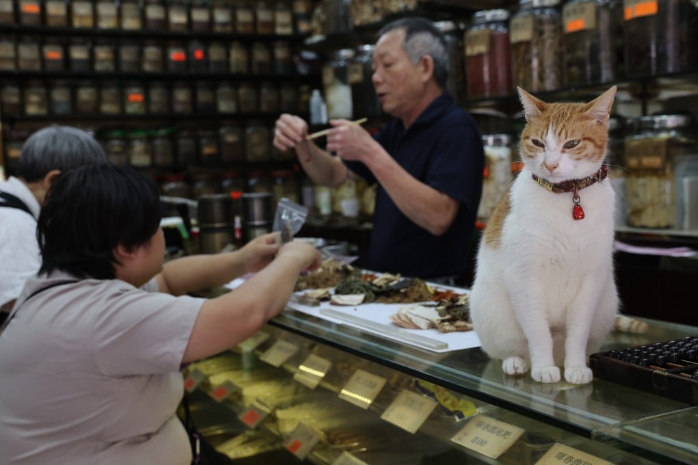 Chinese herbal medicine is dispensed at a pharmacy in Sham Shui Po, Hong Kong, where traditional Chinese medicine is being promoted. Photo: Yik Yeung-man