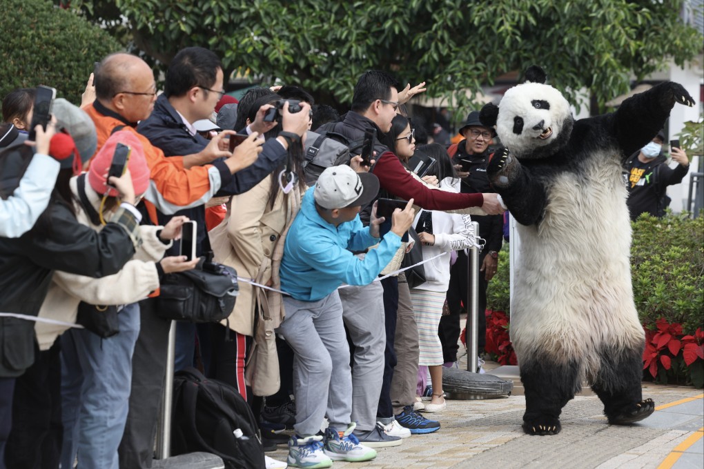 A highly lifelike panda mascot entertains crowds at the pop-up exhibition on Lantau Island. Photo: Edmond So