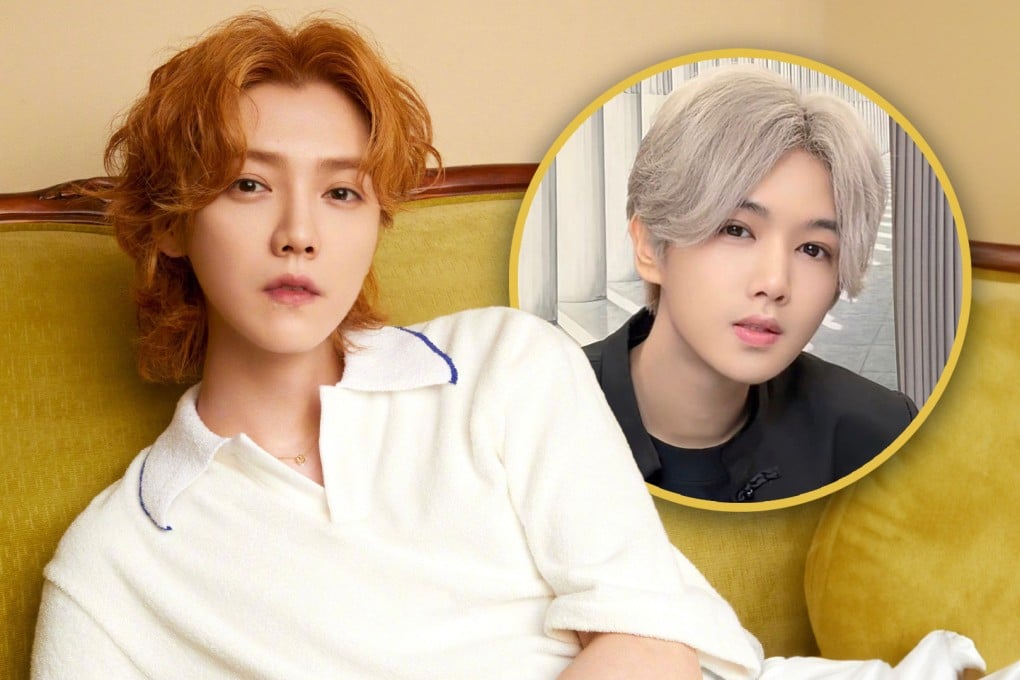 Ling Dale, right, has built a highly lucrative career by impersonating the famous Mandopop star Lu Han, left. Photo: SCMP composite/Weibo