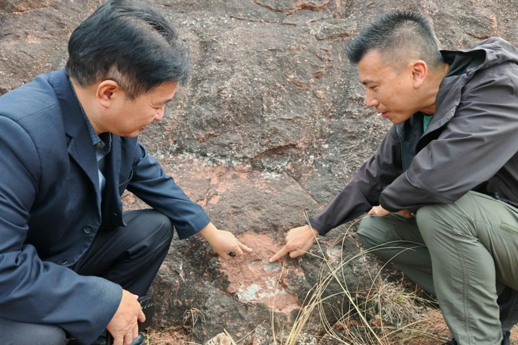 Erik Yip (right) points to the discovery in  Heyuan city. Photo: Guangzhou Daily
