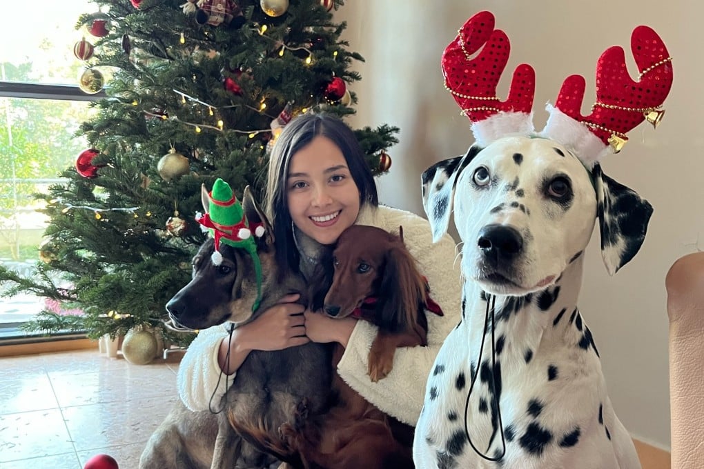 Lisa-Marie Tse with her dogs (from left) Peachy, Summer and Leo. Photo: Instagram/lisamarie_tse