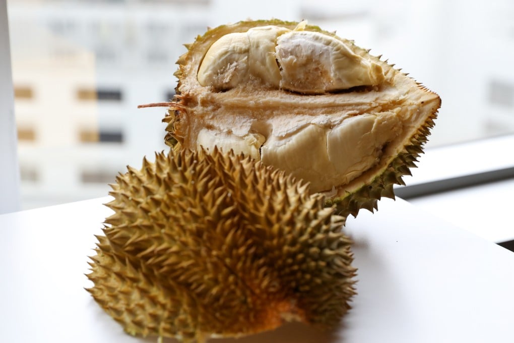 A study has found key differences between durian grown in China compared with Southeast Asia. Photo: Sun Yeung