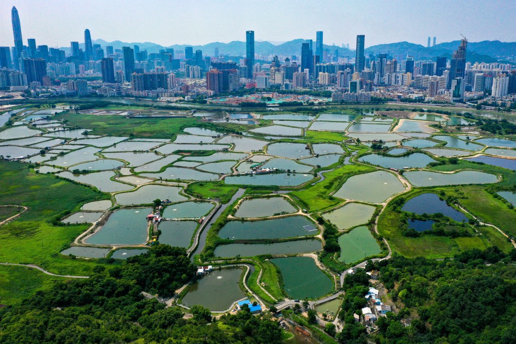 Secretary for Development Bernadette Linn says an agreement signed last month aimed to unite efforts and promote the project near the border with mainland China. Photo: May Tse