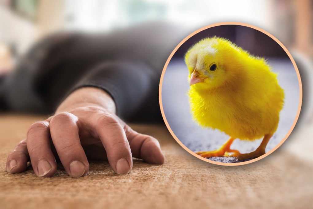 Local villagers believe that superstitions might have prompted the man to swallow the live chick. Photo: SCMP composite/Shutterstock