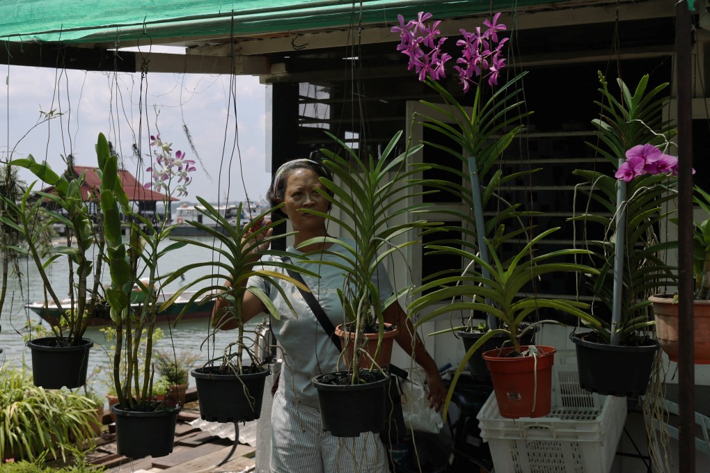 A woman checks on her plants outside her house on Singapore’s Pulau Ubin island on November 1. Photo: Reuters