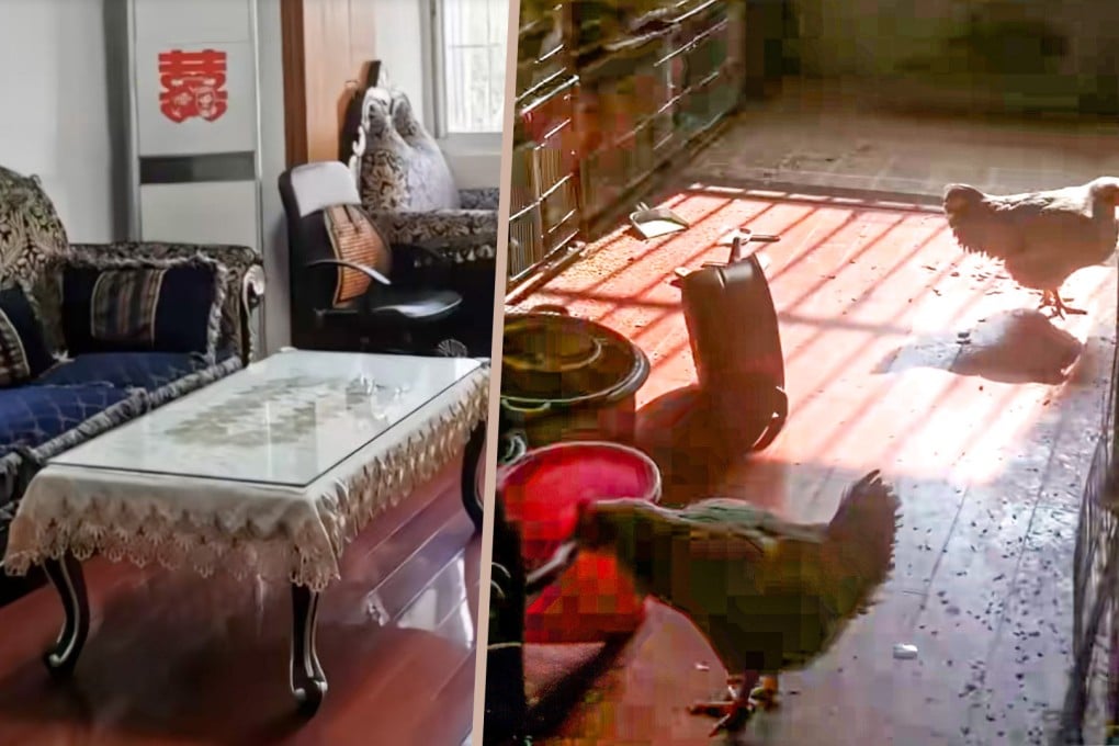 A shocked landlord in China returned to his property to find that it had been converted into a stinking chicken farm. Photo: SCMP composite/Douyin