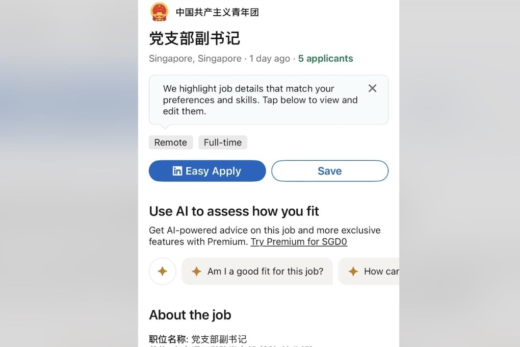 A job posting on LinkedIn listing a role at a supposed Ngee Ann Polytechnic branch of the Communist Party of China’s youth wing. Photo: Reddit