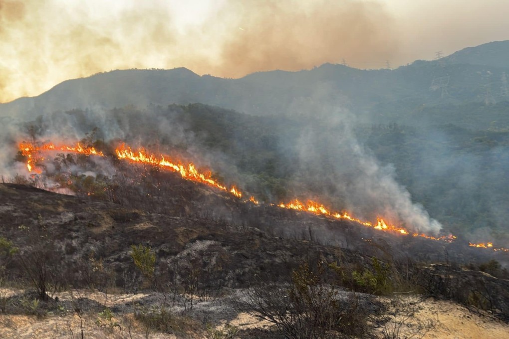The Fire Services Department said the fire broke out at 2.49pm near Tai Tong in Yuen Long. Photo: Facebook / @ Fire Service Department