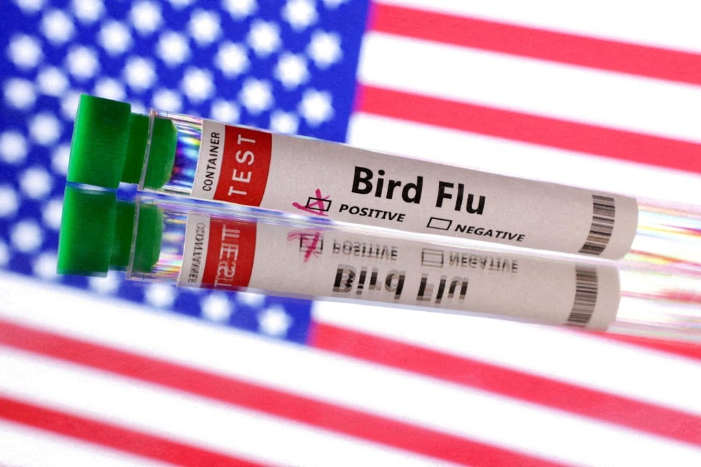 A test tube labelled “bird flu”. Bird flu continues to spread in the US and now it is infecting cats. Photo: Reuters / Dado Ruvic / Illustration / File Photo