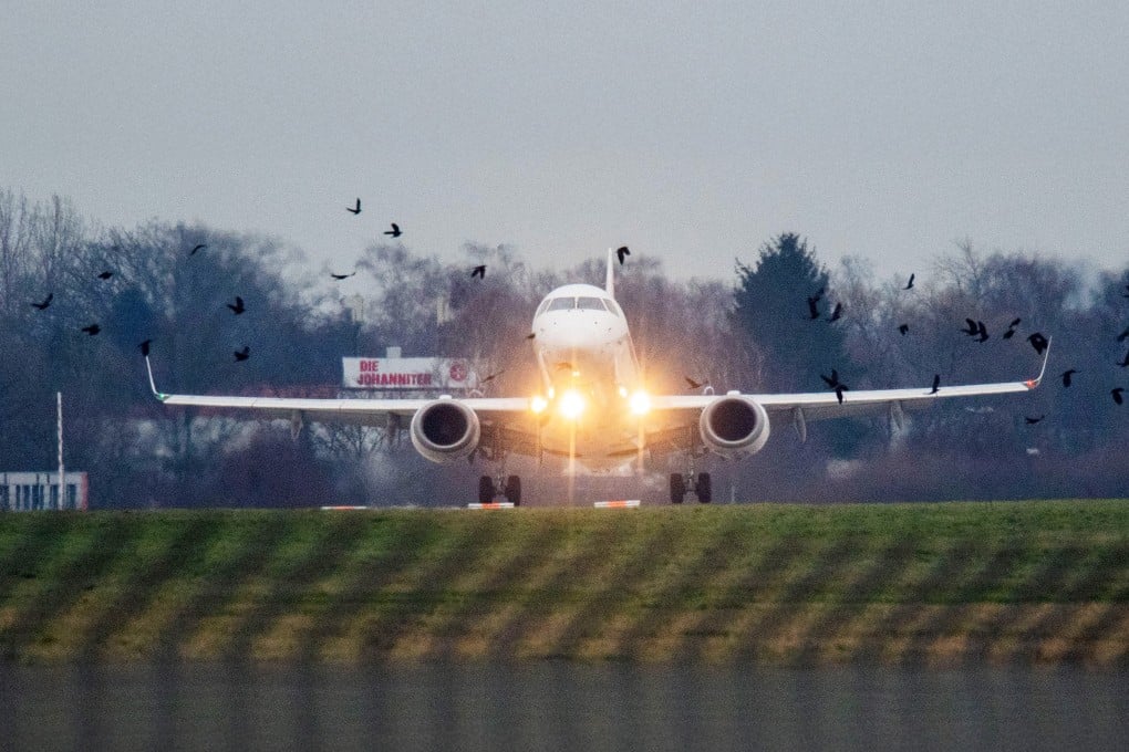 An aircraft lands at an airport in Germany as a flock of birds flies past. Photo: dpa/picture alliance via Getty Images