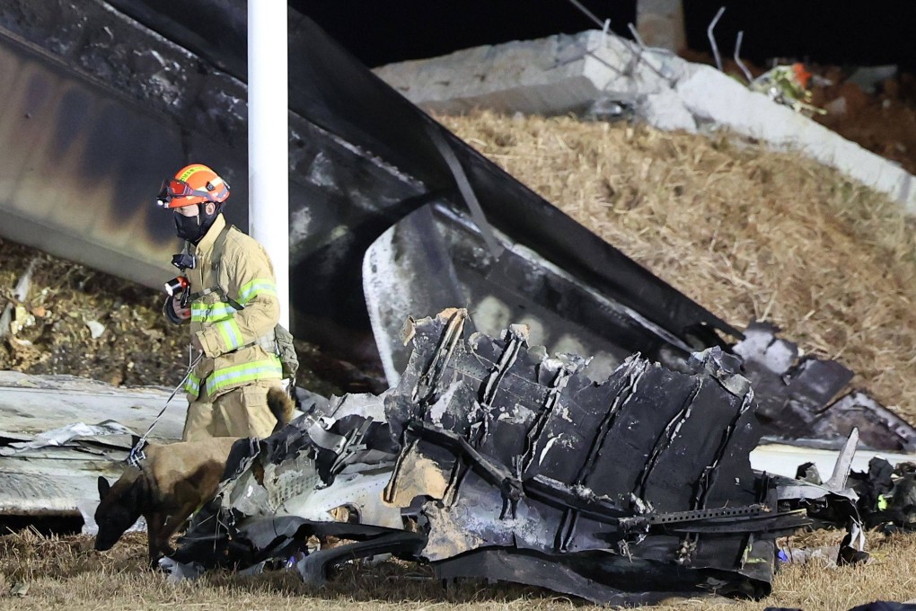 A firefighter and a dog work near the scene where a Jeju Air Boeing 737-800 series aircraft crashed and burst into flames at Muan International Airport in South Jeolla Province, some 288 kilometres southwest of Seoul, on December 29. Photo: AP
