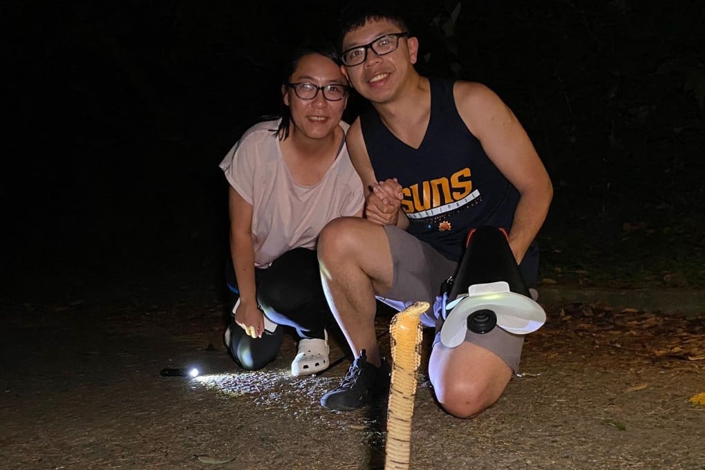 Hong Kong snake catcher Sun Tak-hei spotted a king cobra while hiking with his wife, Jane, in Hong Kong’s Shing Mun Country Park. He recalls notable snake encounters and explains what to do if bitten. Photo: courtesy of Sun Tak-hei