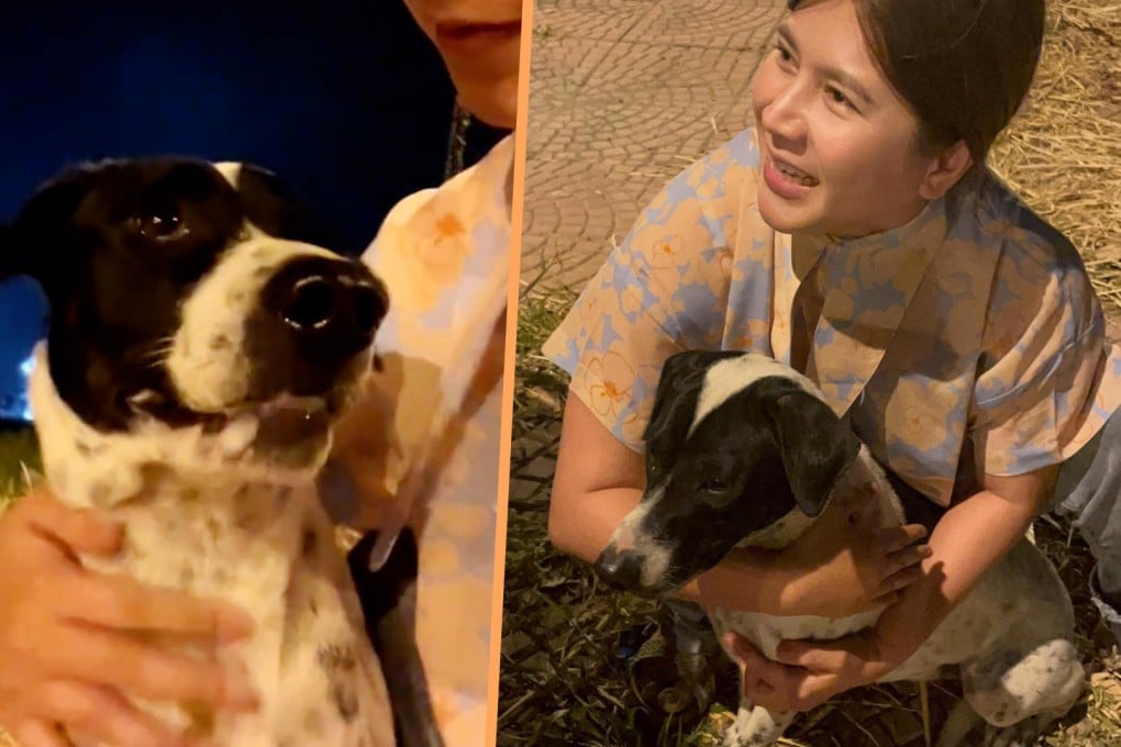 A woman in Thailand has warmed the hearts of millions of people online by comforting a frightened dog during a fireworks display at New Year. Photo: SCMP composite/TikTok