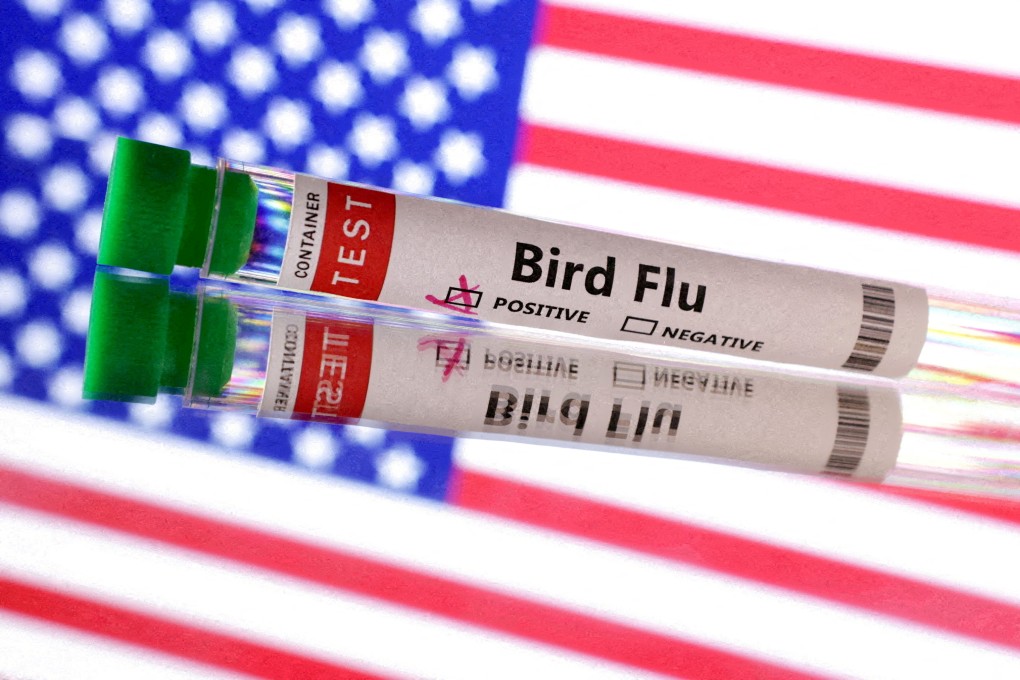 Since March, 66 confirmed bird flu infections have been reported in the US. File photo: Reuters