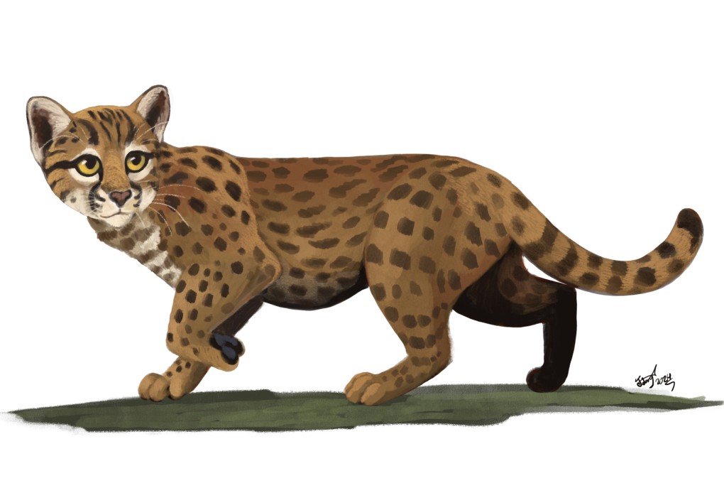 An artist’s impression of the tiny species leopard cat whose remains were uncovered in Anhui province, eastern China. Illustration: X/ @HodariNundu