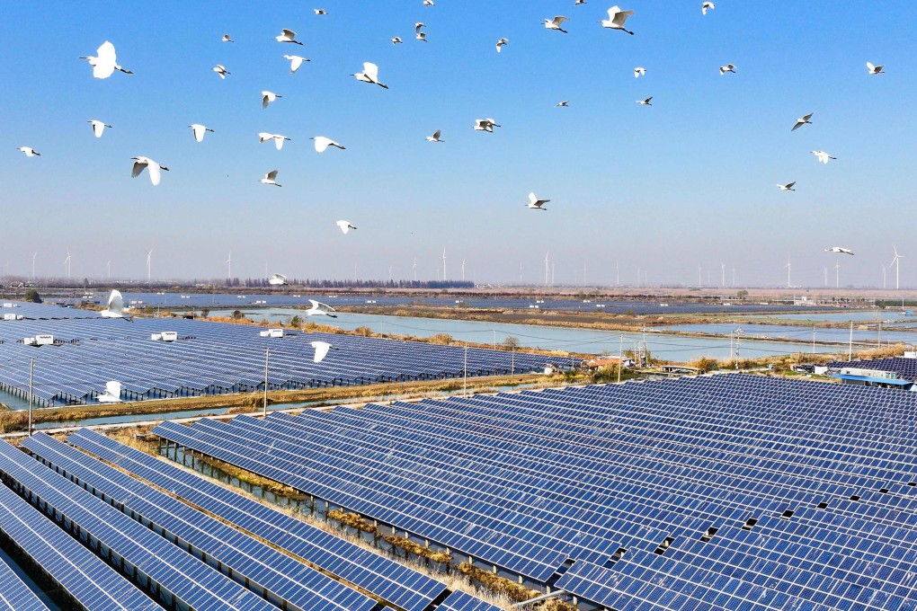 Egrets fly over solar panels in  China’s Jiangsu province on December 16, 2024. The chief economist of Goldman Sachs says that most Chinese imports probably won’t be subject to the 60 per cent tariffs that US president-elect Donald Trump has pledged to impose, but that solar panel components might be. Photo: AFP