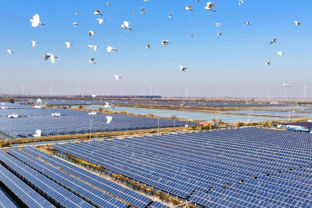 Egrets fly over solar panels in China’s Jiangsu province on December 16, 2024. The chief economist of Goldman Sachs says that most Chinese imports probably won’t be subject to the 60 per cent tariffs that US president-elect Donald Trump has pledged to impose, but that solar panel components might be. Photo: AFP