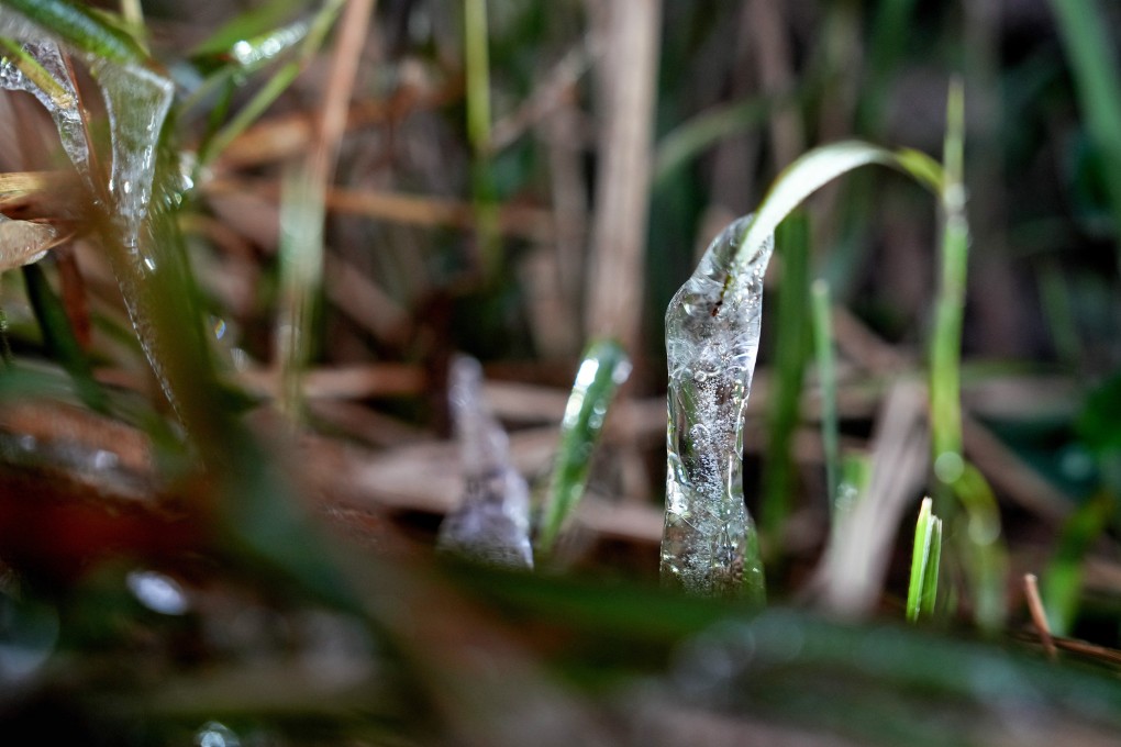 Frost on the peak of Tai Mo Shan on Wednesday morning. Photo: Elson Li