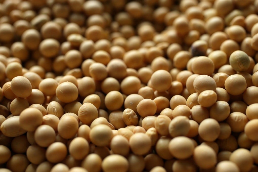 China is the world’s largest consumer of soybeans, but less of its supply has been coming from American farmers. Photo: TNS