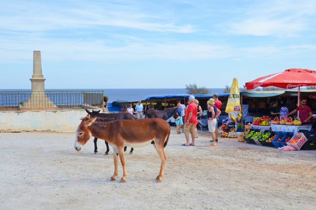 Wild donkeys stroll on a sandy street in Dipkarpaz, in Northern Cyprus, as tourists walk past fruit market stands. Only a few hundred thousand tourists venture to the Turkish-Cypriot north every year. Photo: Shutterstock