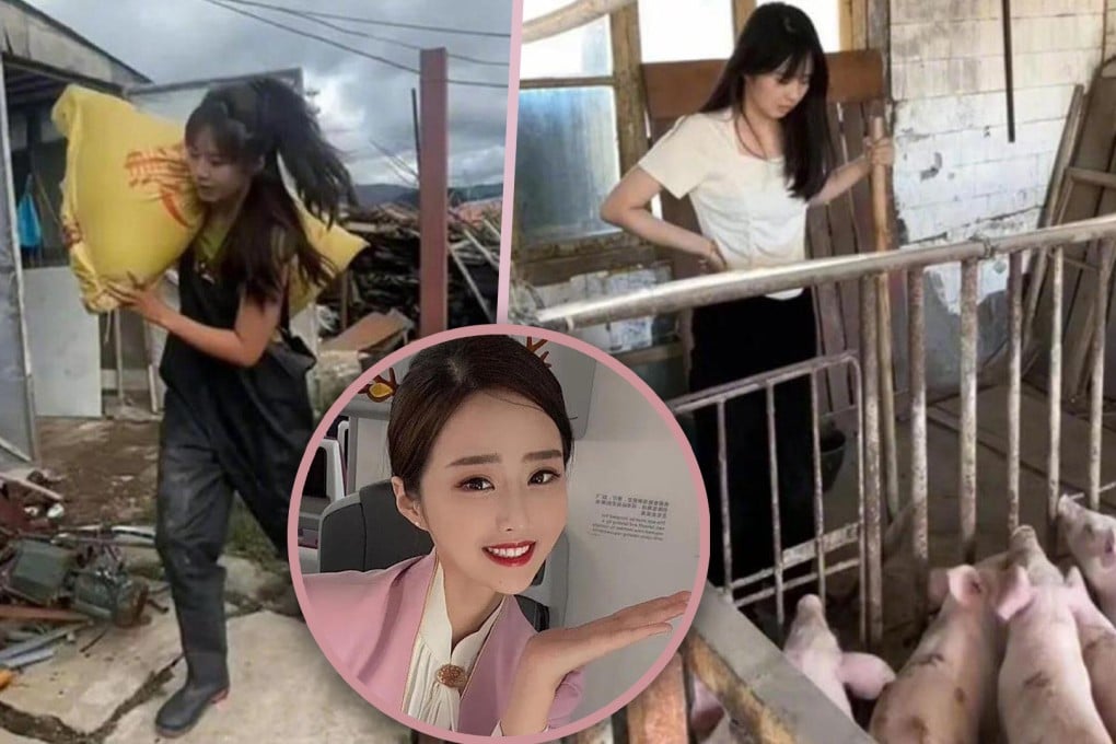 A former flight attendant who quit her job to become a pig farmer in her hometown has earned US$28,000 in just two months. Photo: SCMP composite/Weibo