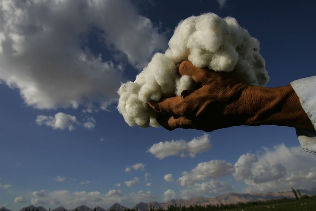 Xinjiang cotton has been in the global spotlight since 2020. Photo: Getty Images