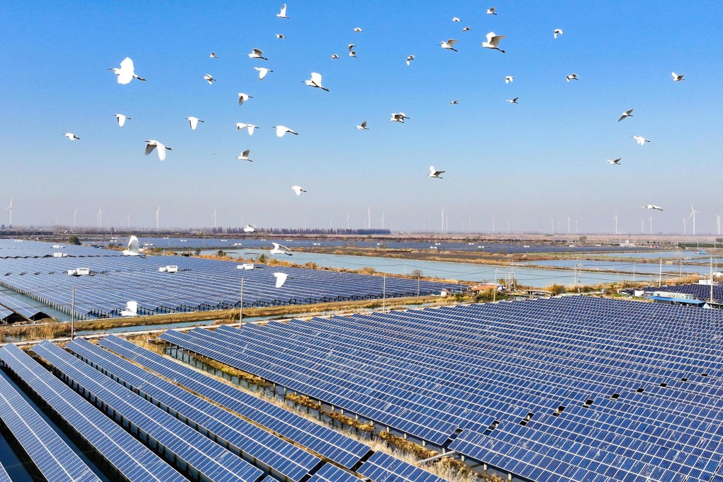 Egrets fly over solar panels at a farm in Jinhu County in eastern Jiangsu province on December 16, 2024. Photo: AFP