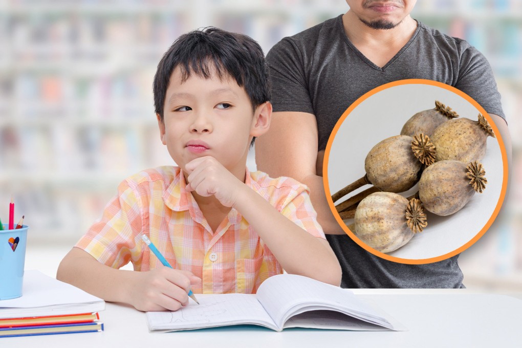 A boy in China informed the police about his father having poppy husks after being scolded for unfinished homework. Photo: SCMP composite/Shutterstock