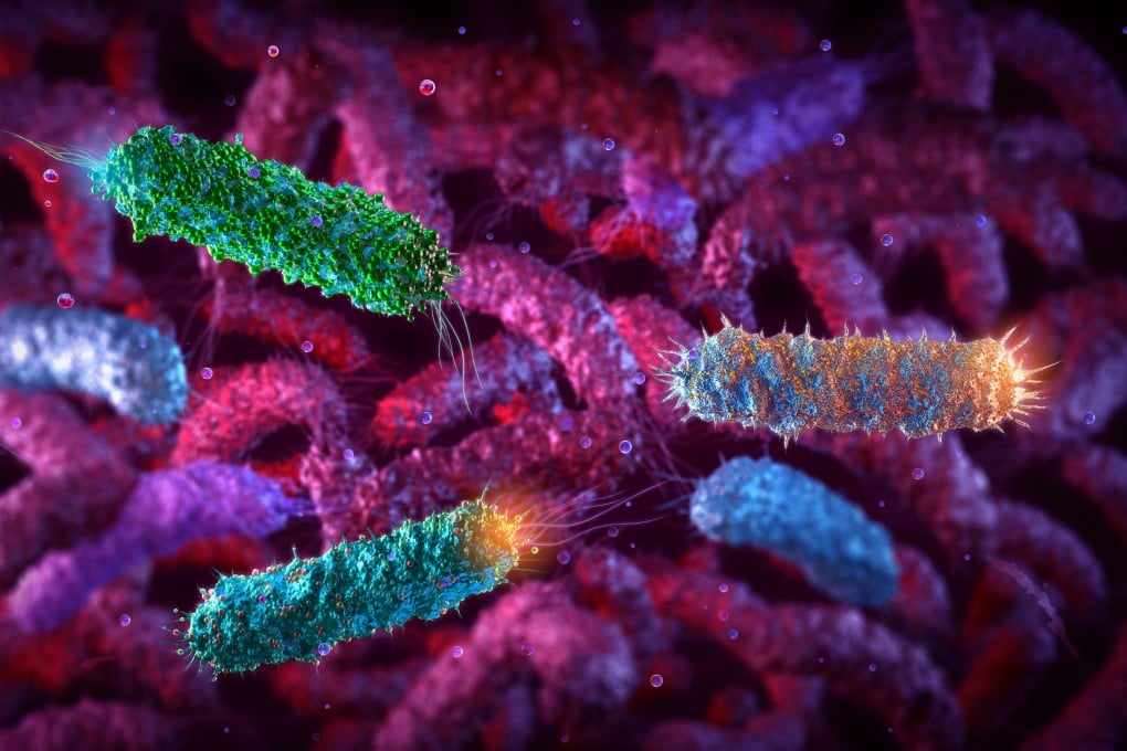 Rekayasa E coli untuk Fotosintesis: Inovasi Penghasil Bahan Ramah Lingkungan