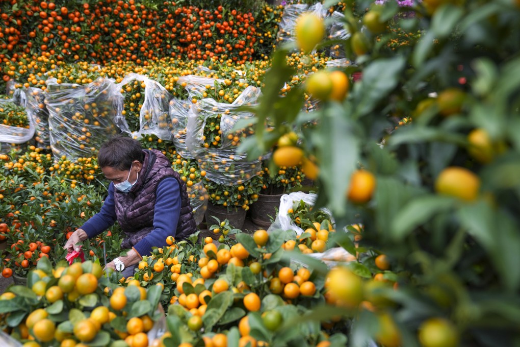Botanical prices are down in southern China ahead of the Lunar New Year holiday as a mild winter and weak consumption weigh on retail profits. Photo: Sam Tsang