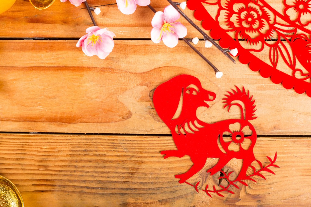 The Year of the Snake will bring luck for Dogs, who had a hard time last year. A feng shui expert shares where to place auspicious objects in your living space. Photo: Shutterstock