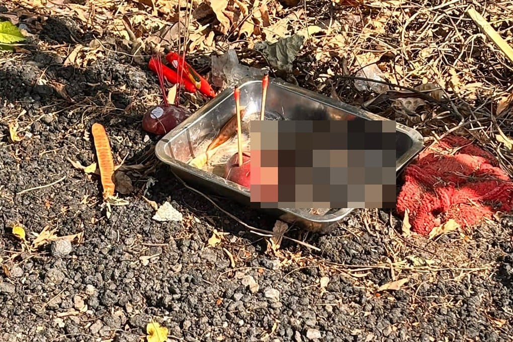 A passer-by spotted the tray at the entrance of a Yuen Long village. Photo: Handout