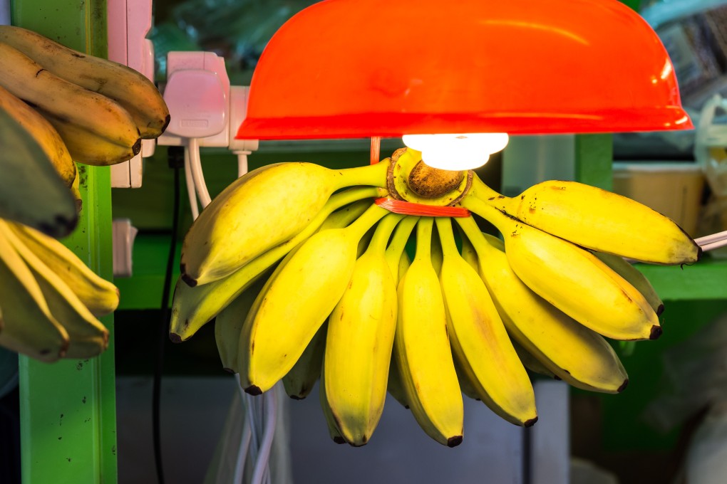The most widespread fruit produced and sold in Hong Kong all year round has been the banana. Photo: Shutterstock