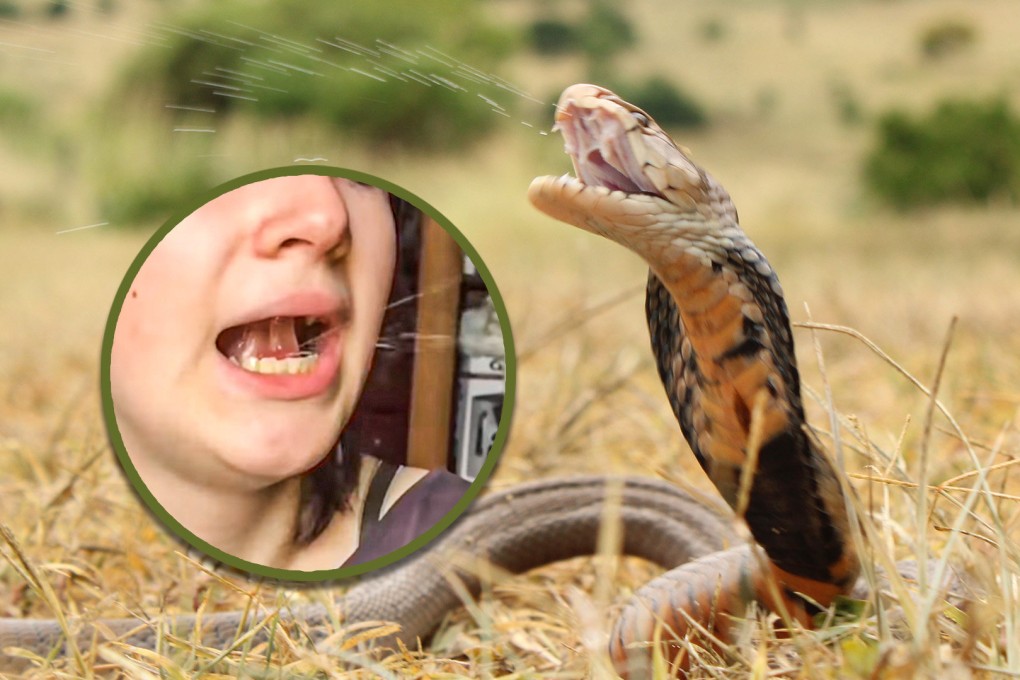 Western people have turned to imitating spitting reptiles in huge numbers to celebrate the Year of the Snake. Photo: SCMP composite/Shutterstock/YouTube
