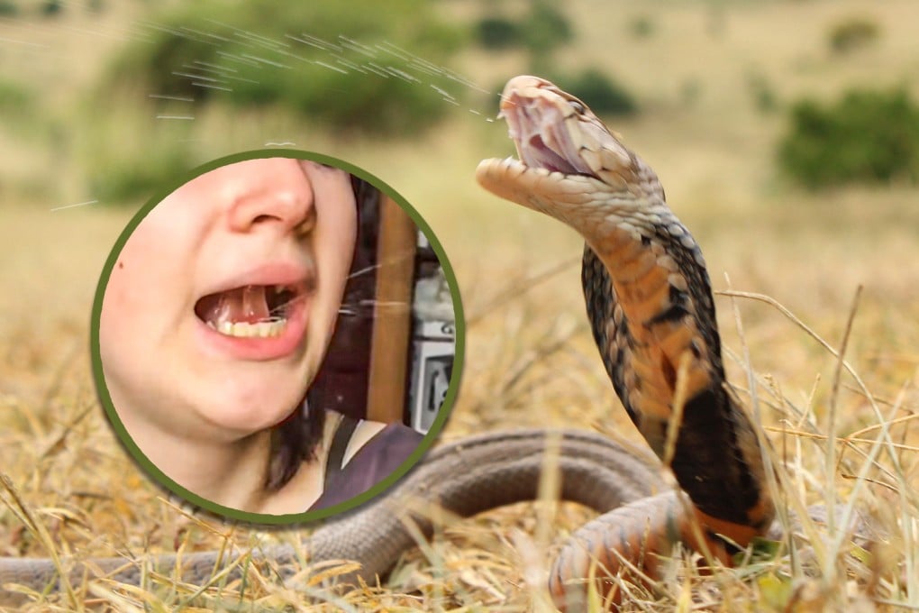Western people have turned to imitating spitting reptiles in huge numbers to celebrate the Year of the Snake. Photo: SCMP composite/Shutterstock/YouTube