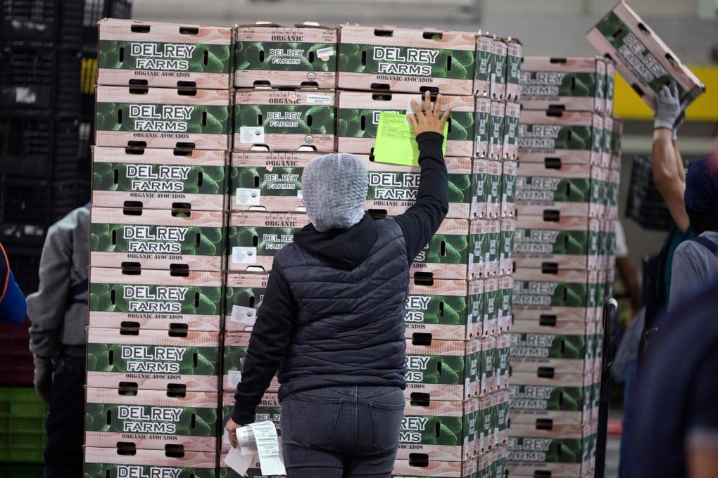 A worker sticks instructions to avocado boxes at a packing plant in the municipality of Uruapan, Michoacan state, Mexico, on February 5. US President Donald Trump’s tariff threats have sowed uncertainty but did not stop Mexican avocado packers from working full steam ahead to keep guacamole as the star treat during Super Bowl on February 9. Photo: AFP