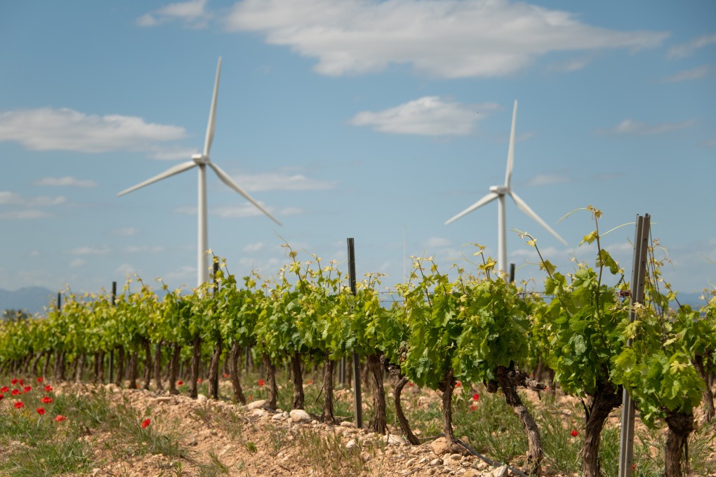 Wind turbines near a Spanish vineyard. Getting rural communities to accept the eyesores that produce energy mostly for big cities is proving difficult. Photo: Getty Images