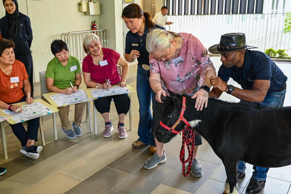 An elderly resident interacts with a miniature horse during the launch of Singapore’s first equine-assisted programme at NTUC Health Active Ageing Centre in Singapore on Tuesday. Photo: AFP