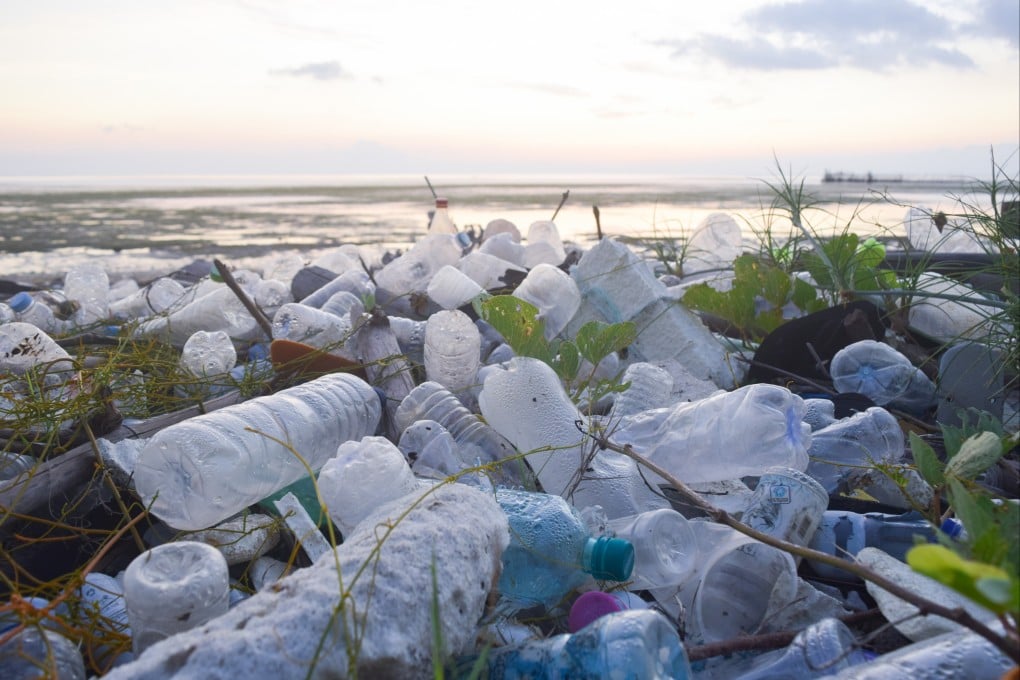 Plastic pollution has been found all over the world and has made its way into the food chain and into our bodies. Photo: Shutterstock