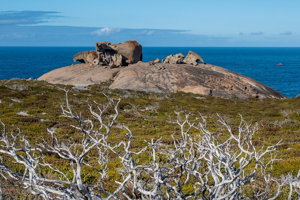 Kangaroo Island’s Remarkable Rocks with fire-damaged trees in the foreground, a reminder of the terrible fires of 2020. Photo: Carolyn Beasley