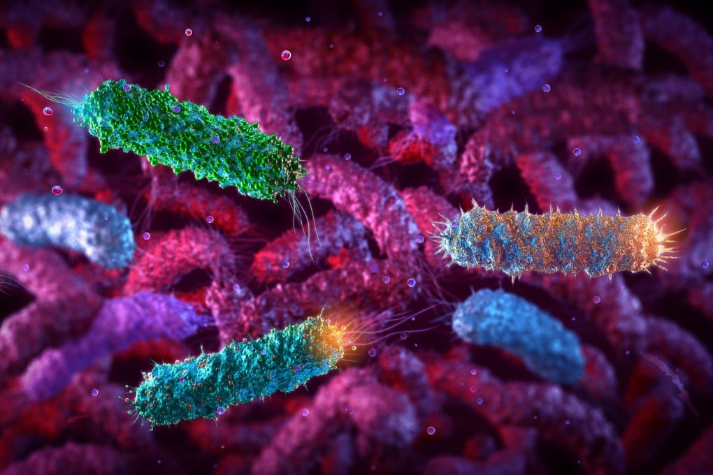 A 3D illustration of the pathogenic rod-shaped E coli bacteria. Photo: Shutterstock