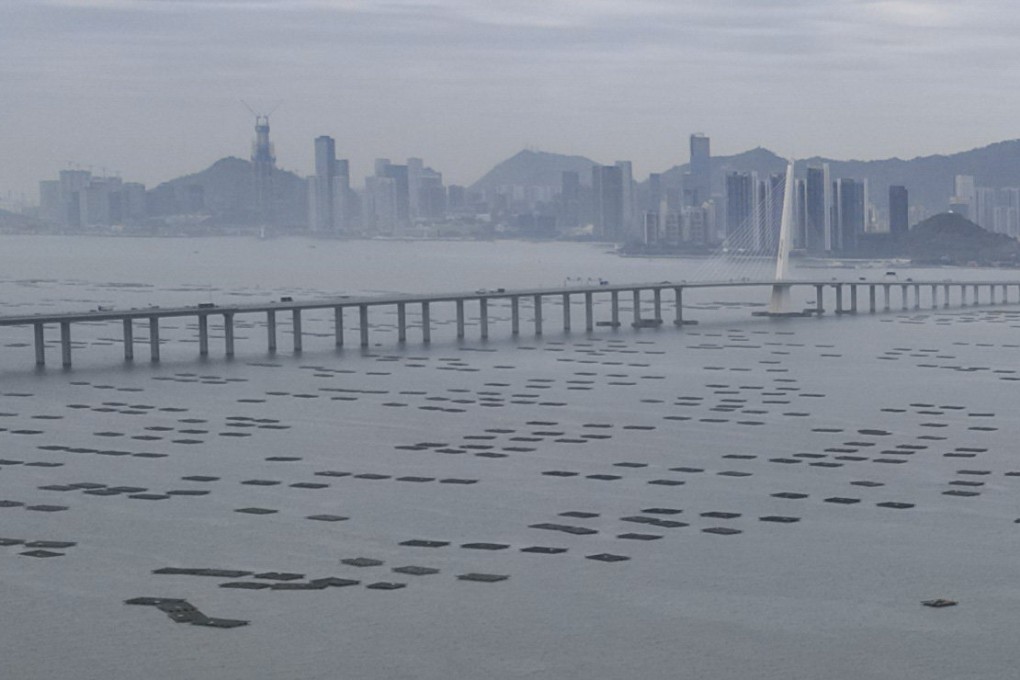 The Shenzhen Bay Bridge, seen from Deep Bay, off Lau Fau Shan in Hong Kong. Photo: May Tse