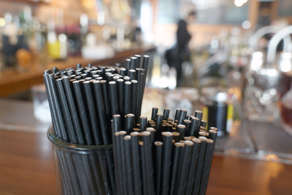 The outcome of South Korea’s review is likely to determine whether the government will continue promoting paper straws. Photo: TNS