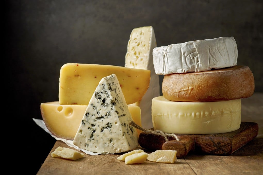 Probiotics found in cheese could help influence brain function. Photo: Shutterstock